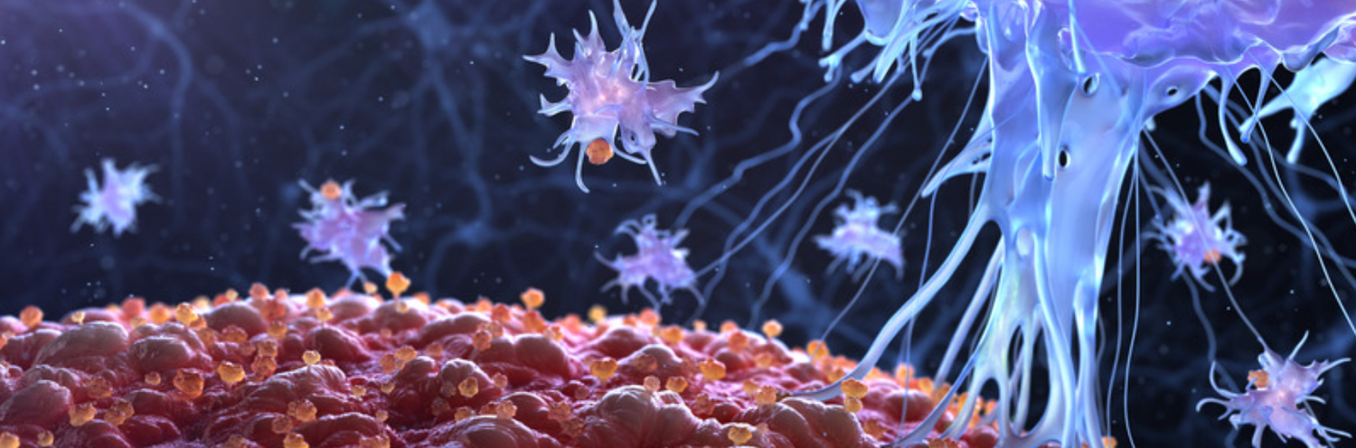 Immune System